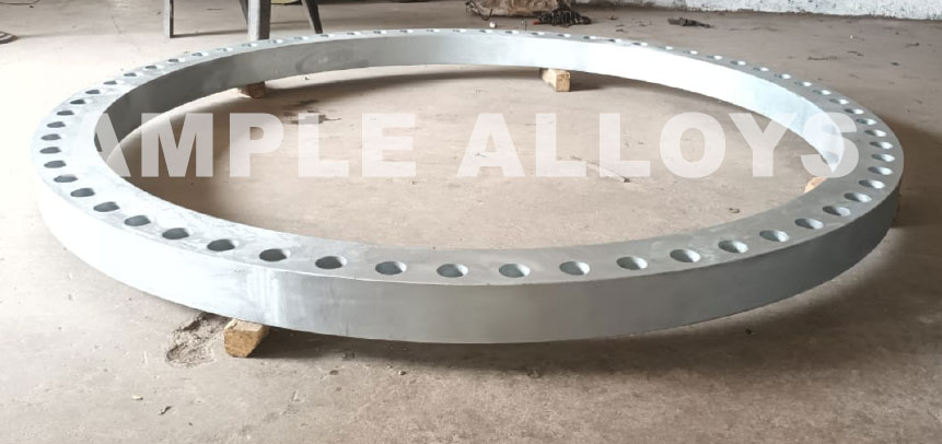 Stainless Steel Backing Ring Flange 不锈钢背圈法兰